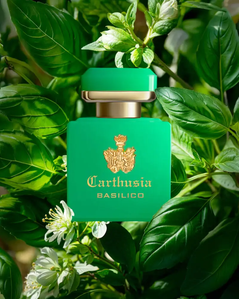 INTENSO DI BASILICO