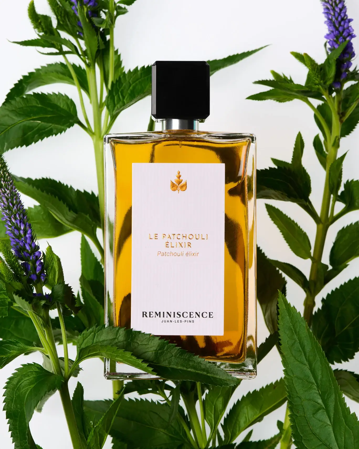 PATCHOULI-ELIXIR-AVEC-INGREDIENT_138x1710px_72dpi